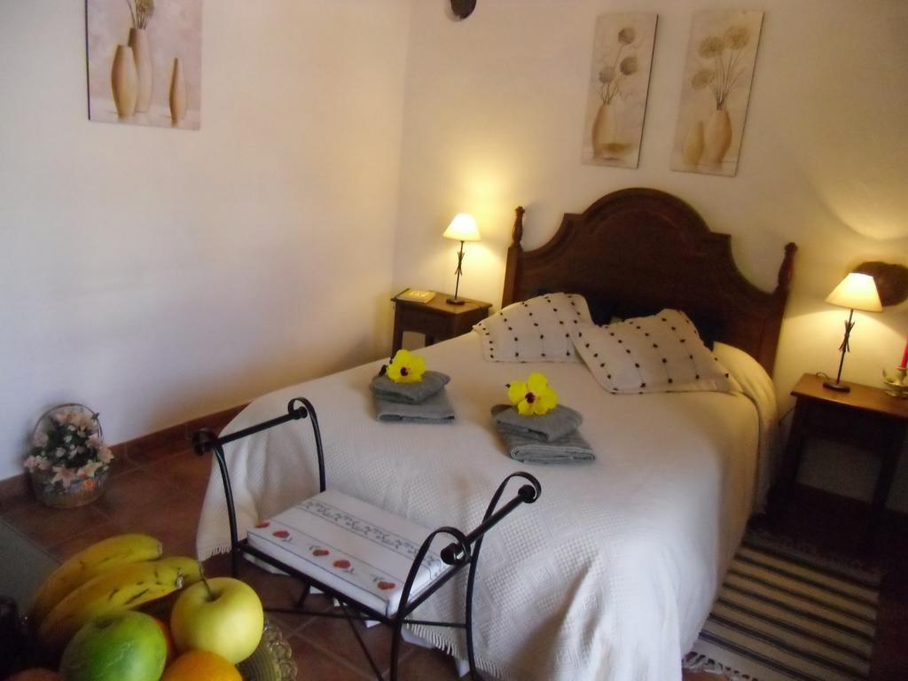 Finca El Picacho Apartments In The Countryside 2 Km From The Beach Tejina Room photo