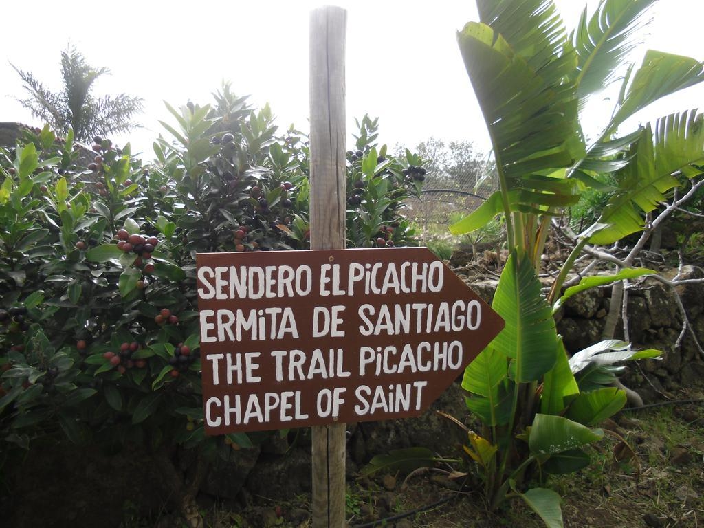 Finca El Picacho Apartments In The Countryside 2 Km From The Beach Tejina Room photo