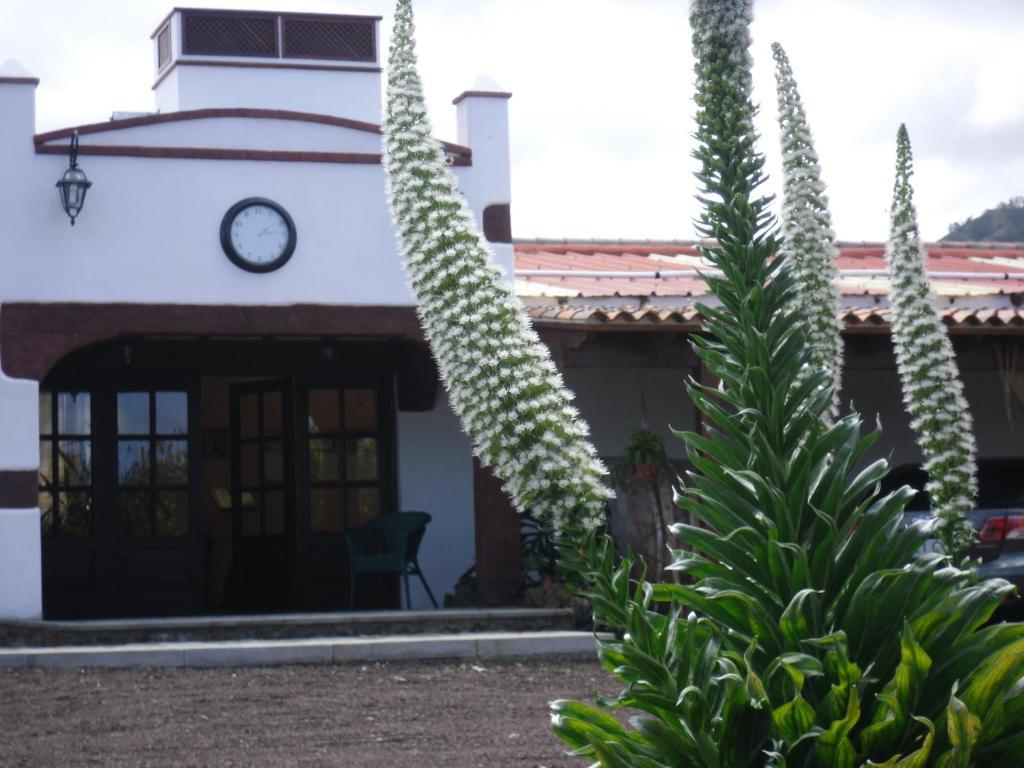 Finca El Picacho Apartments In The Countryside 2 Km From The Beach Tejina Exterior photo