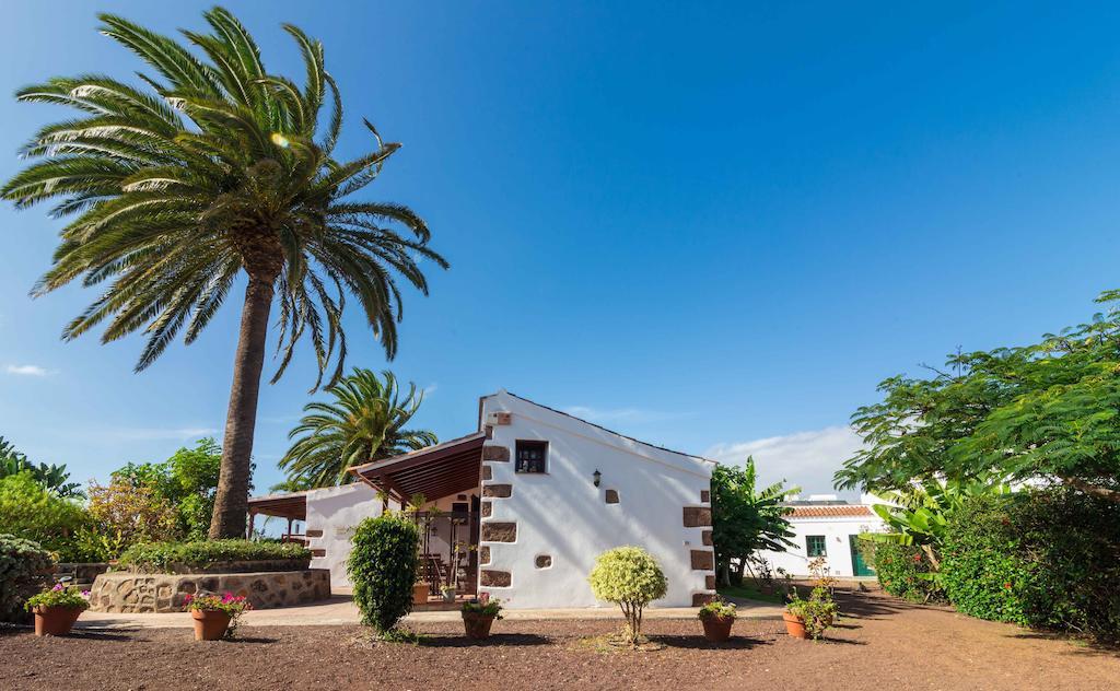Finca El Picacho Apartments In The Countryside 2 Km From The Beach Tejina Room photo